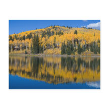 Beaver Lake in het najaar