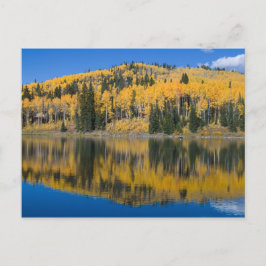 Beaver Lake in het najaar Briefkaart