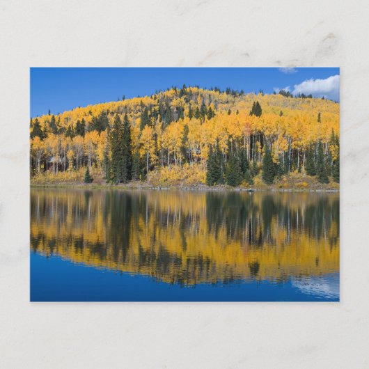 Beaver Lake in het najaar Briefkaart (Voorkant)