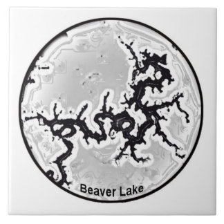 Beaver Lake Tile Tegeltje