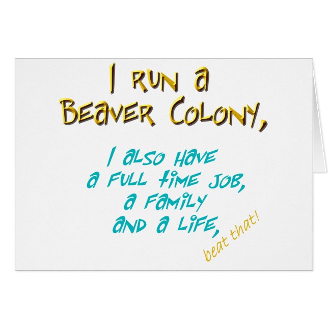 beaver leader turquoise (Voorkant Horizontaal)