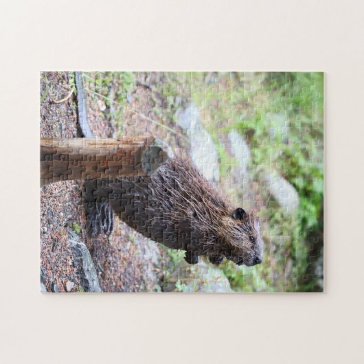 Beaver Legpuzzel (Horizontaal)