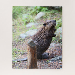 Beaver Legpuzzel