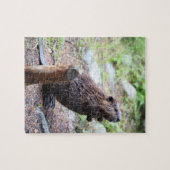Beaver Legpuzzel (Horizontaal)
