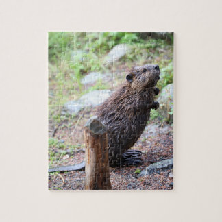 Beaver Legpuzzel