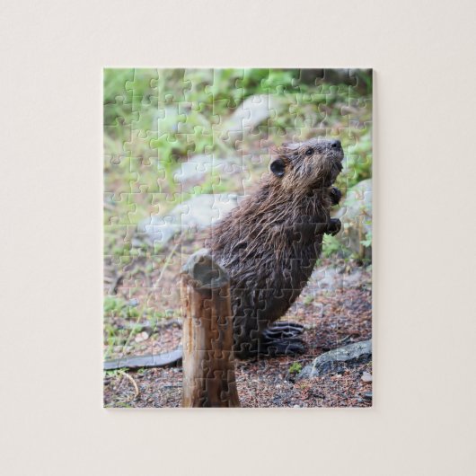 Beaver Legpuzzel (Verticaal)