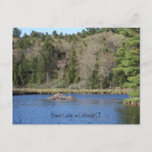 Beaver Lodge in COLEBROOK, CT Briefkaart