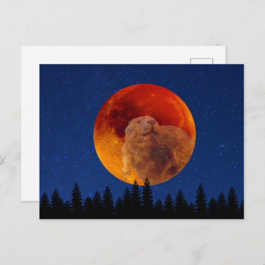Beaver Moon in november Briefkaart (Voorkant / Achterkant)
