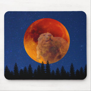 Beaver Moon in november Muismat