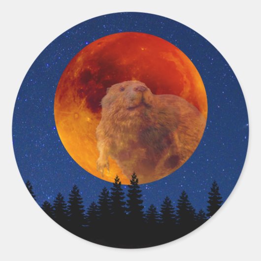 Beaver Moon in november Ronde Sticker (Voorkant)