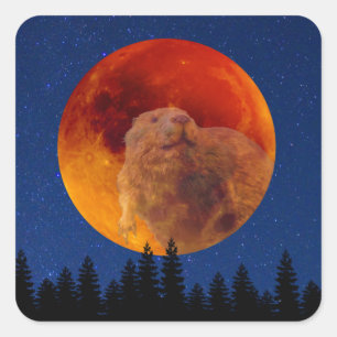Beaver Moon in november Vierkante Sticker