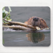 Beaver Muismat (Voorkant)