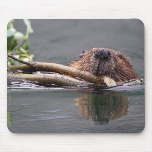 Beaver Muismat (Voorkant)