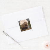 Beaver On a Log With Full Moon Vierkante Sticker (Envelop)