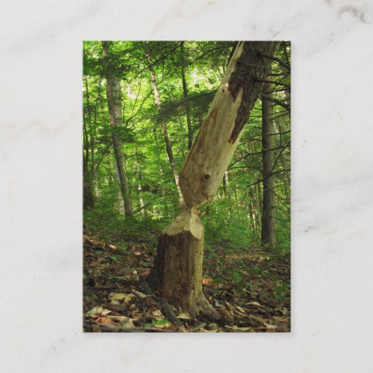 Beaver op Work ATC Visitekaartje (Voorkant)