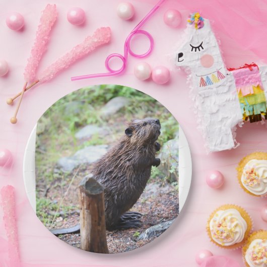 Beaver Papieren Bordje (Feest)