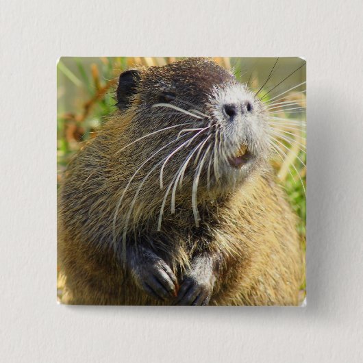 Beaver Photo Square Pin Vierkante Button 5,1 Cm (Voorkant)