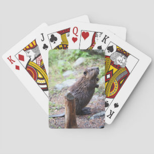 Beaver Pokerkaarten