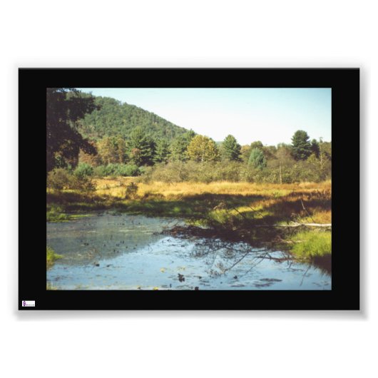 Beaver Pond Photo Print Foto Afdruk (Voorkant)