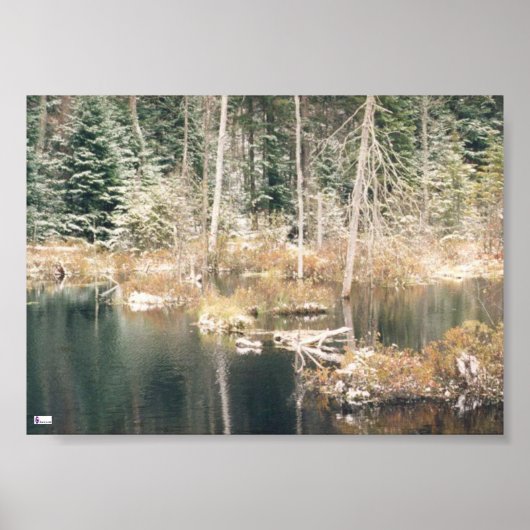 Beaver Pond Poster (Voorkant)
