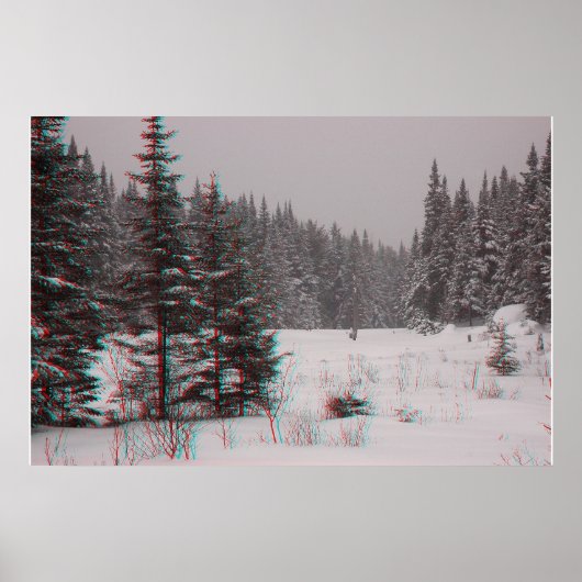 Beaver Ponds Poster (Voorkant)