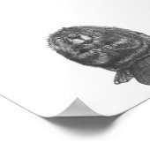 Beaver Poster (Hoek)