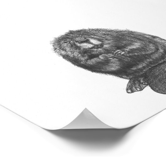 Beaver Poster (Hoek)