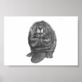 Beaver Poster (Voorkant)