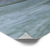 Beaver poster (Hoek)