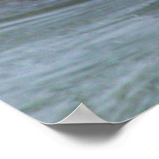 Beaver poster (Hoek)