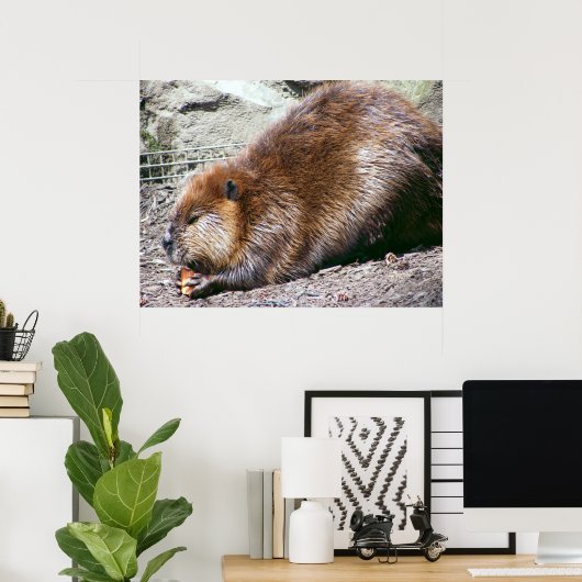 Beaver Poster (Thuiskantoor)