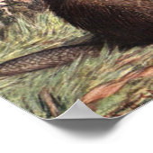 Beaver van Louis Sargent,  wilde dieren Poster (Hoek)