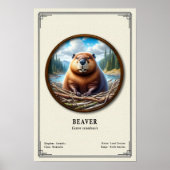 Beaver Zoologie Serie Poster (Voorkant)