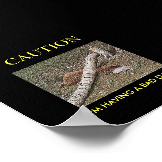 Beaver's Bad Day Poster (Hoek)