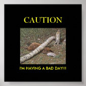 Beaver's Bad Day Poster (Voorkant)