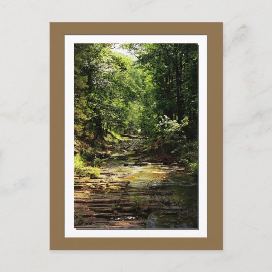 Beavers Bend State Park foto-briefkaart Briefkaart (Voorkant)