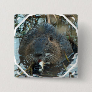 Beavers Habitat Square Pin Vierkante Button 5,1 Cm