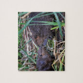 Beavers Kissfoto Legpuzzel (Verticaal)