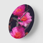 Beavertail Cactus Bloemen 2 Ronde Klok (Hoek)