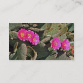 Beavertail Cactus bloemen Visitekaartje (Achterkant)