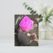 Beavertail Cactus Briefkaart (Staand voorkant)