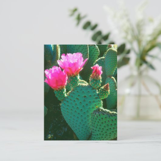 Beavertail Cactus Flowers Briefkaart (Staand voorkant)