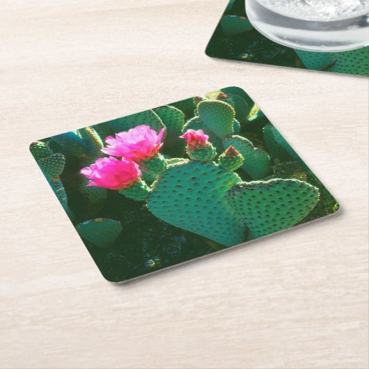 Beavertail Cactus Flowers Kartonnen Onderzetters (Schuin)