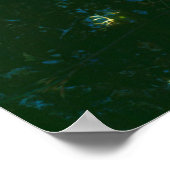 Beavertail Cactus Flowers Poster (Hoek)