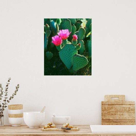 Beavertail Cactus Flowers Poster (Keuken)