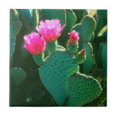 Beavertail Cactus Flowers Tegeltje (Voorkant)