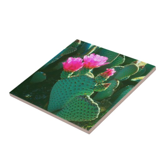 Beavertail Cactus Flowers Tegeltje (Zijkant)