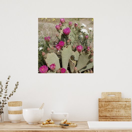 Beavertail Cactus Poster (Keuken)