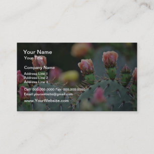 Beavertail Cactus Roze bloemen Visitekaartje