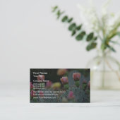 Beavertail Cactus Roze bloemen Visitekaartje (Staand voorkant)